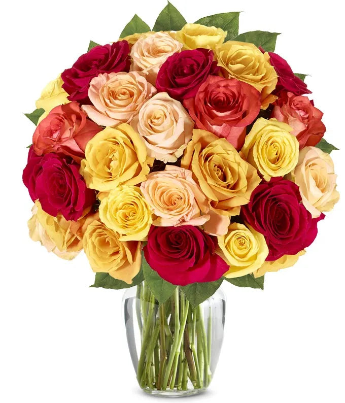 Fall Roses