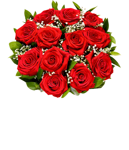 Valentine Rose Bundle