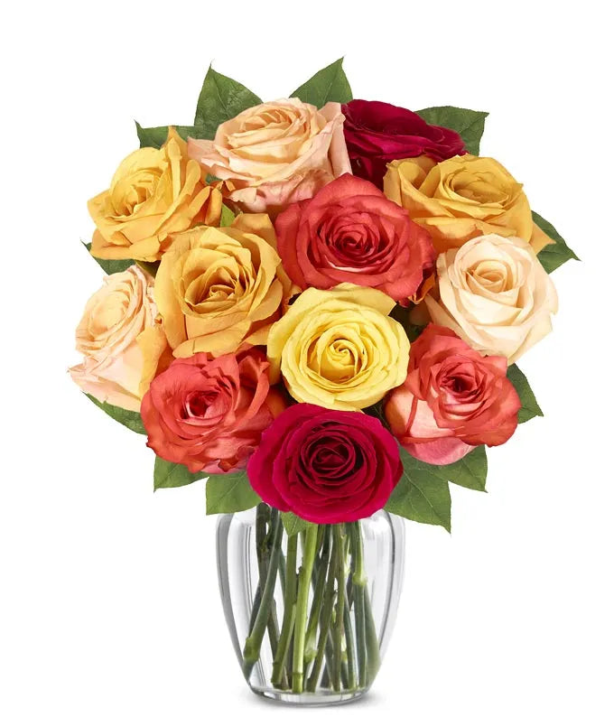 Fall Roses