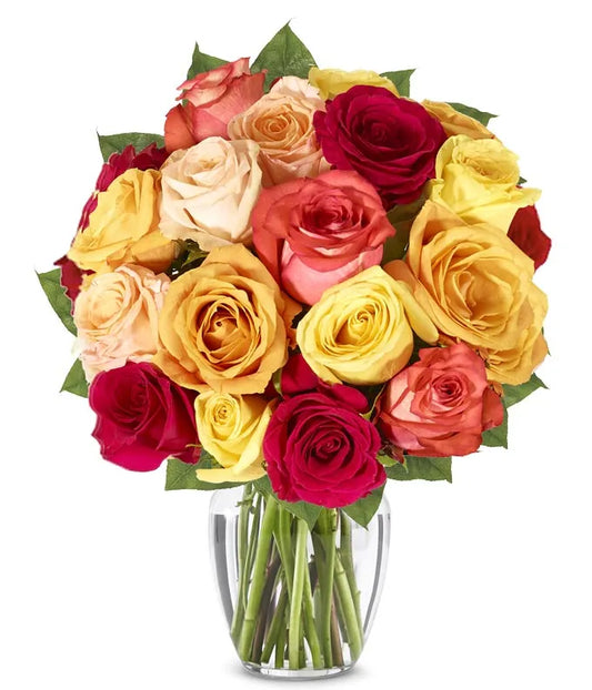 Fall Roses