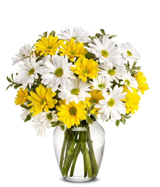 Upsy Daisy