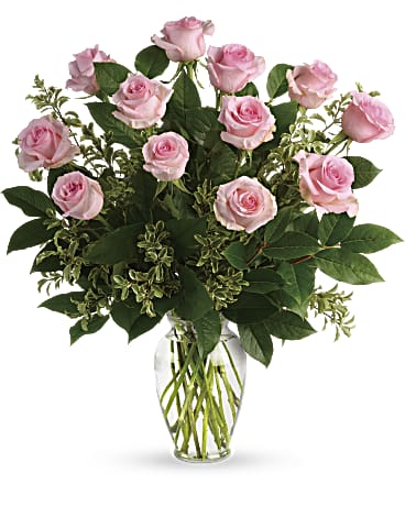Pink Roses