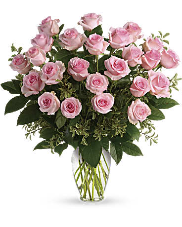 Pink Roses