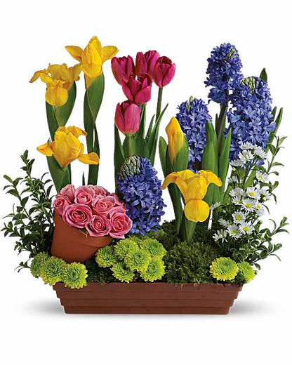 Spring is Here!