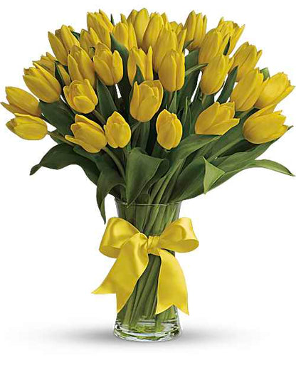 Sunny Yellow Tulips