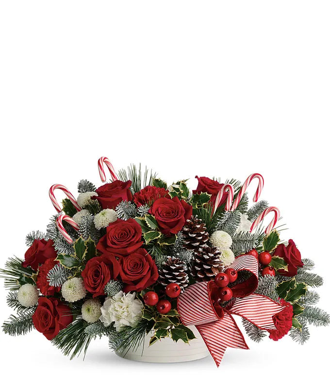 Candy Canes & Roses
