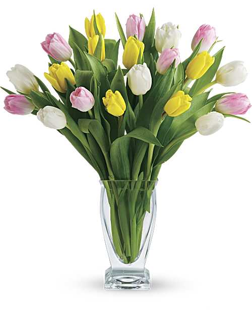 Tulip Treasures